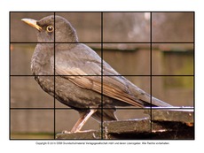 Puzzle-Amsel-7.pdf